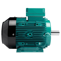 Brook Crompton WIMES Electric motor