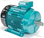 Brook Crompton Electric motor