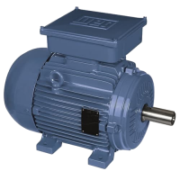 WEG Vacuum Pump Motor