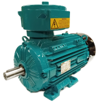 Brook Crompton WEX3 Motor